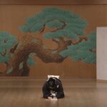 関西舞踊連盟2024出演時